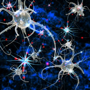 Artist's rendering of nerve cells. Credit: © fotoliaxrender / Fotolia