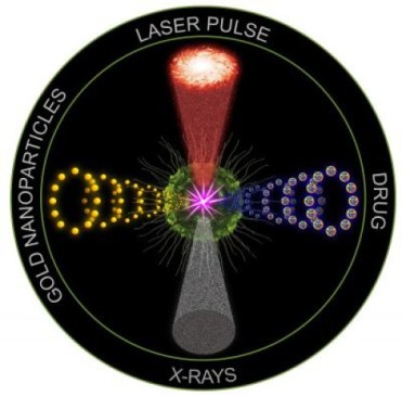 The first preclinical study of the anti-cancer technology "quadrapeutics" found it to be 17 times more efficient than conventional chemoradiation therapy against aggressive, drug-resistant head and neck tumors. Credit: D. Lapotko/Rice University