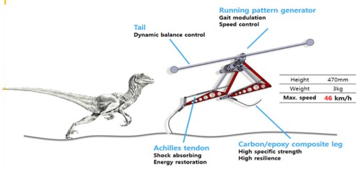 Raptor-diagram
