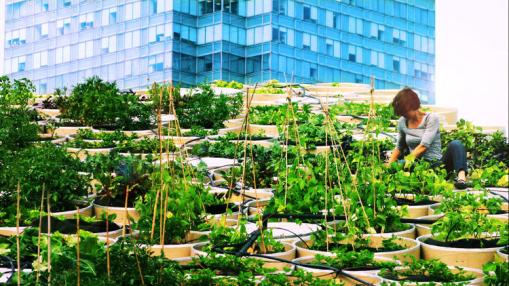 3046277-slide-s-1-1-the-top-jobs-in-10-years-might-not-be-what-you-expect