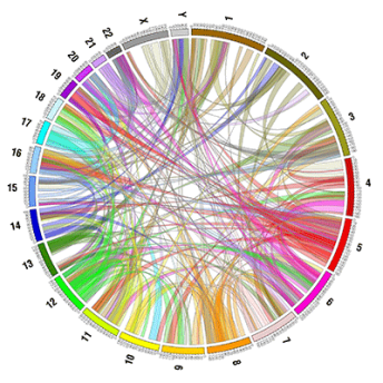 circos-sample-33