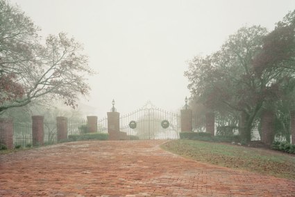 murray-ballard_the-prospect-of-immortality_2112-800x533